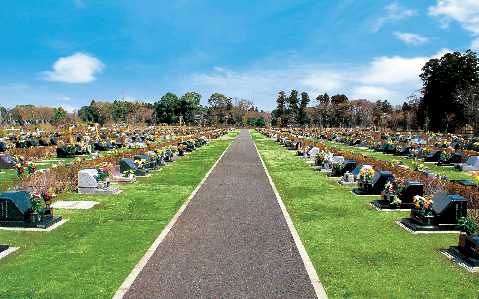 千葉市平和公園霊園風景