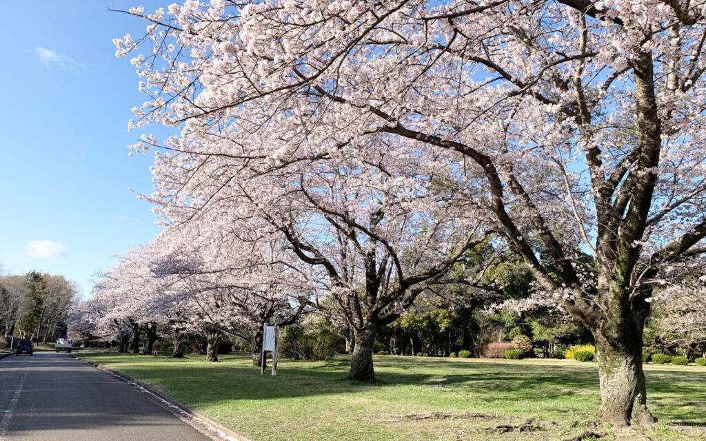 千葉市平和公園普通墓地